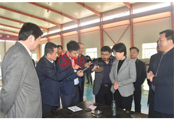 臨清市長(zhǎng)祁學(xué)蘭參觀慰問